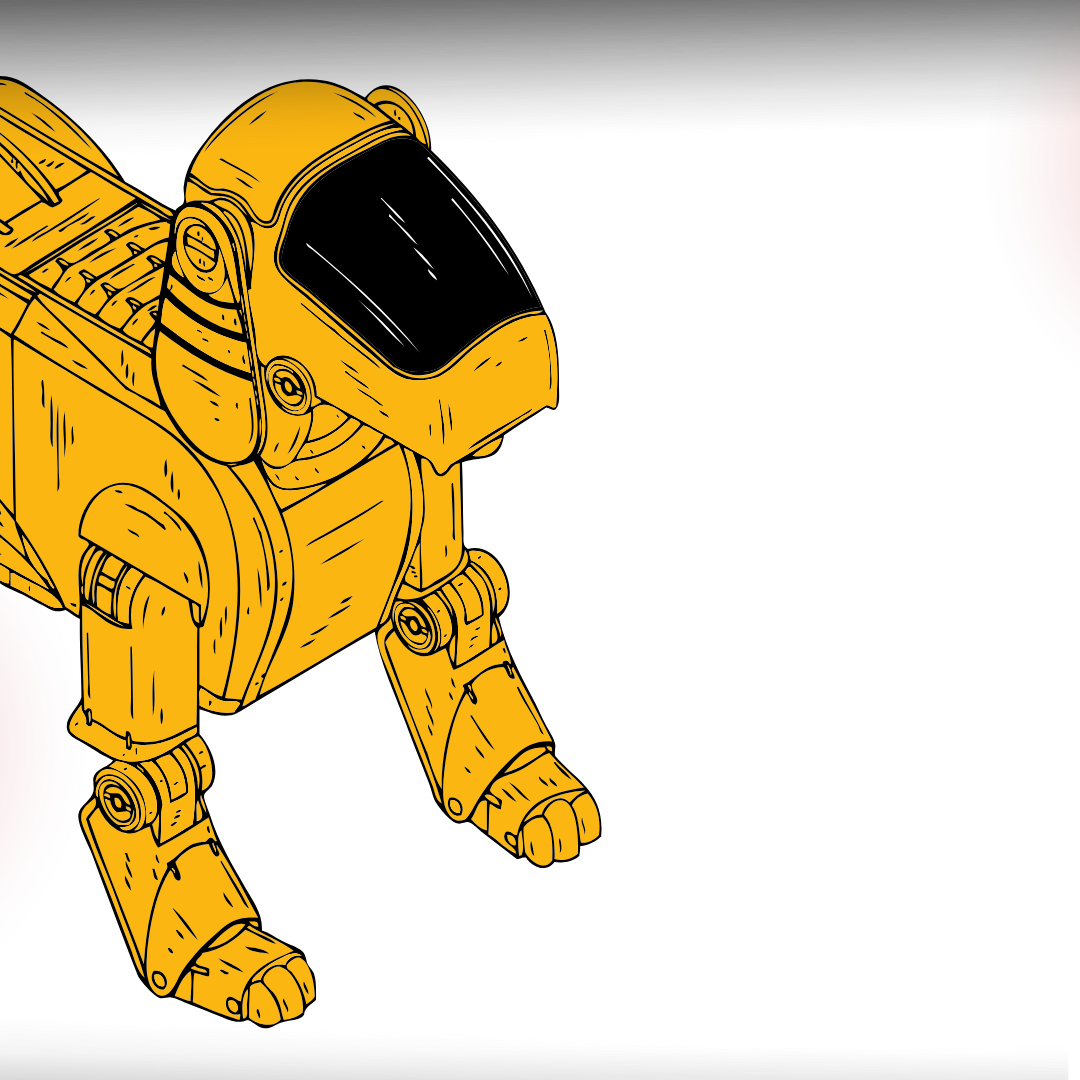 Robo-Pi Robot
